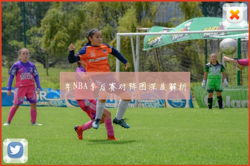 年NBA季后赛对阵图深度解析