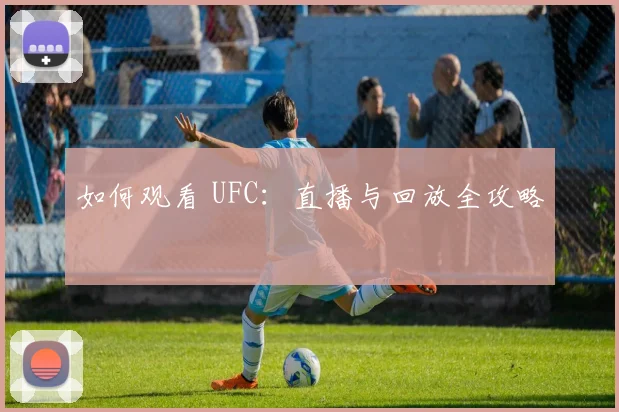 如何观看 UFC：直播与回放全攻略