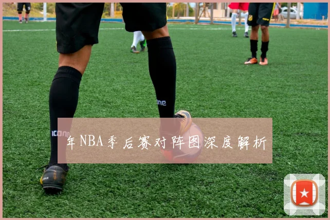 年NBA季后赛对阵图深度解析