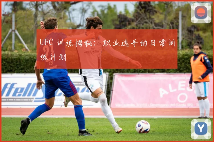 UFC 训练揭秘：职业选手的日常训练计划
