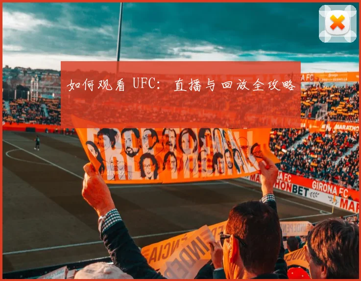 如何观看 UFC：直播与回放全攻略